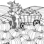 Harvest Time in the Pumpkin Field