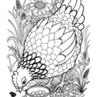 Hen Eating Seeds – Intricate Coloring Page