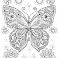 Intricate Butterfly Patterns Coloring Page
