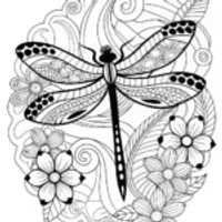 Intricate Dragonfly Bliss
