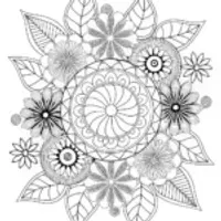 Intricate Floral Mandala Design