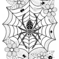 Intricate Spider Web and Spider Design Coloring Page