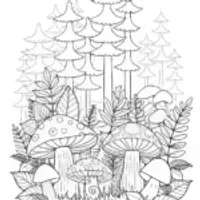 Mushroom Colony