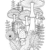 Enchanted Forest of Gigantic Mushrooms