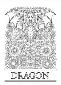 Forest Dragon Adventure