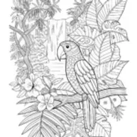 Parrot on Perch Coloring Page