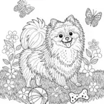Pomeranian Pup Coloring Fun