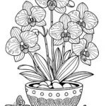 Potted Orchid Blossom Coloring Page