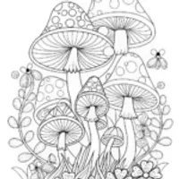 Psychedelic Mushroom Patterns