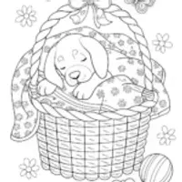 Puppy Snoozing in a Basket