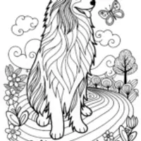 Lassie the Loyal Collie Coloring Page