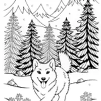 Majestic Husky Coloring Page