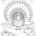 Color Tom the Turkey