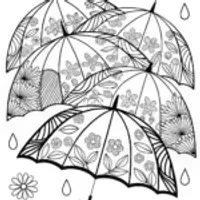 Umbrella Blossoms in the Spring Rain