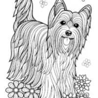 Yorkshire Terrier Coloring Fun