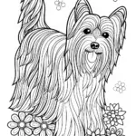 Yorkshire Terrier Coloring Fun
