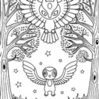 Guardians of the Celestial Forest: The Wise Owls Unite