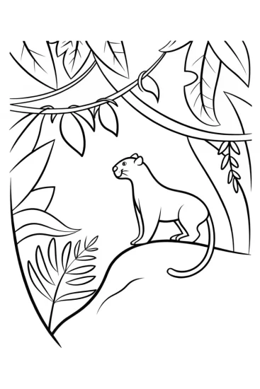 A coloring page of The Guardian of the Jungle: Meet the Majestic Panther