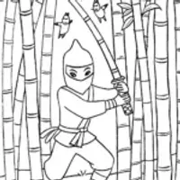 Ninja Training Adventure in the Bamboo Forest