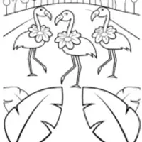 Flamingo Fashion Show Coloring Page