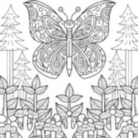 Butterfly Adventure in the Forest Canopy