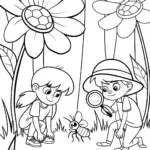 Summer Adventure in the Enchanted Forest