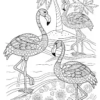 Flamingo Fitness Fun Coloring Page