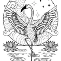 Flamingo Ballet in the Moonlight Coloring Page