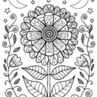 Celestial Harmony Mandala Coloring Page