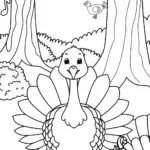 Turkey in a magical forest