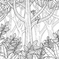 Black Panther’s treetop adventure