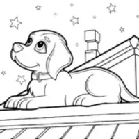 Puppy stargazer on a rooftop