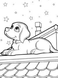 Puppy stargazer on a rooftop