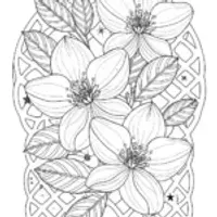 Jasmine flower show in space