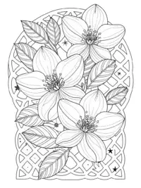 Jasmine flower show in space