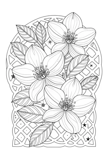 A coloring page of Jasmine flower show in space