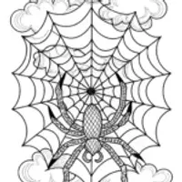 Spider weaving art in the sky