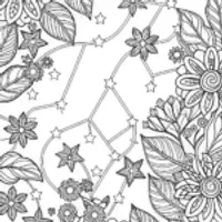 Orion through the seasons