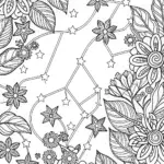 Orion through the seasons