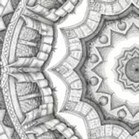 Bookworms in a library mandala