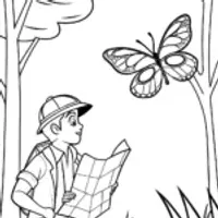 Butterfly cartographer mapping a forest