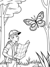 Butterfly cartographer mapping a forest