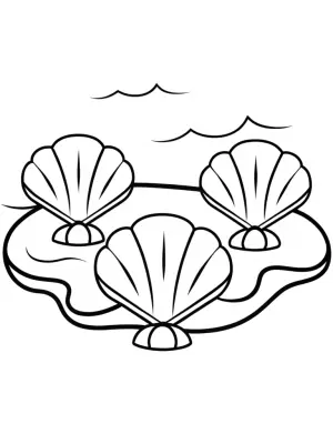 Seashells playing music on the beach coloring pages