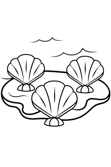 A coloring page of Seashells playing music on the beach