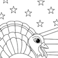 Turkey navigating the stars