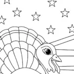 Turkey navigating the stars