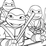 Teenage Mutant Ninja Turtles sushi roll
