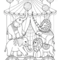 Animals performing at the circus