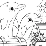 Dolphin’s Christmas treasure hunt