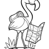 Flamingo adventurer with a map